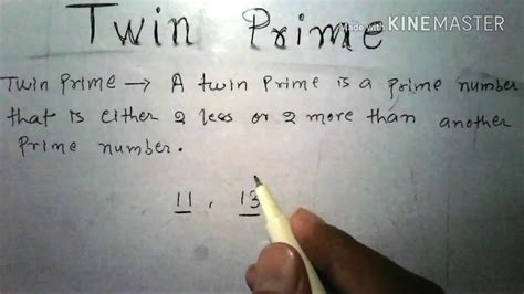 twin prime number in hindi